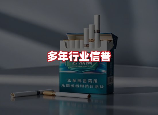 专业团队